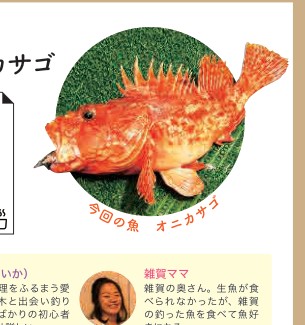 オニカサゴ